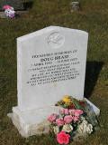 image of grave number 558016